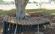 Barcaldine Musical Instruments - thumb 0