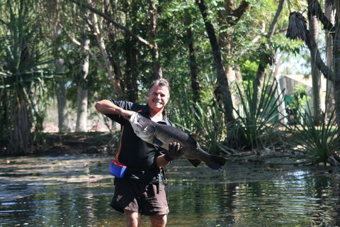 Barra Feeding - Hervey Bay Accommodation 0