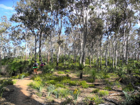 Bibbulmun Track - Hervey Bay Accommodation 1