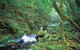 Binna Burra, Lamington National Park - thumb 2