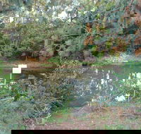 Birdwing Butterfly Walk - Hervey Bay Accommodation