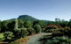Botanic Garden, Wollongong - thumb 0