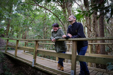 Botanic Garden, Wollongong - Hervey Bay Accommodation 1
