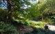Botanic Garden, Wollongong - thumb 2