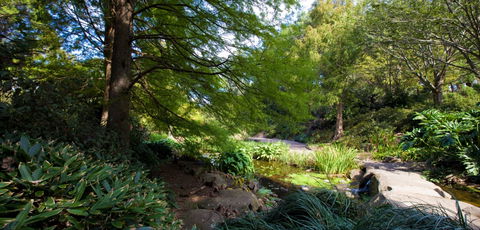 Botanic Garden, Wollongong - Hervey Bay Accommodation 2