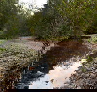 Budawang National Park - Hervey Bay Accommodation