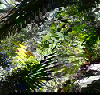 Byrrill Creek Walking Track - Hervey Bay Accommodation