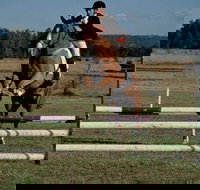 Camden Bicentennial Equestrian Park - Hervey Bay Accommodation