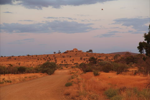 Castle Rock Walk And Lookout - Hervey Bay Accommodation 0