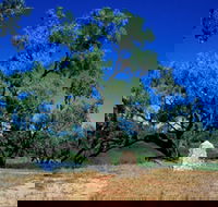 Comet - Hervey Bay Accommodation