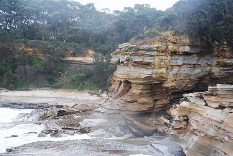 Cookies Beach Picnic Area - South Durras - Hervey Bay Accommodation 2