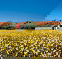 Coorow Farm Wildflower Trail - Tourism Hervey Bay