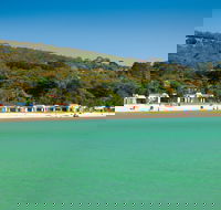 Dromana Bay Trail