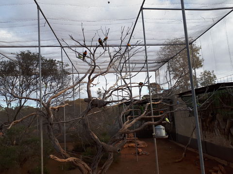 Eyre Reptile & Wildlife Park - Hervey Bay Accommodation 2