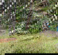 Federal Falls Walk - Tourism Hervey Bay