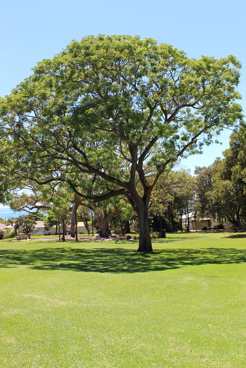 Flinders Park Playground - Hervey Bay Accommodation 0