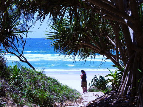 Frazers Reef - Hervey Bay Accommodation 0