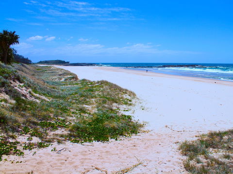 Frazers Reef - Hervey Bay Accommodation 1