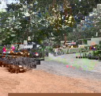 Fred's Pass Rural Market - Tourism Hervey Bay