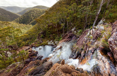 Gibraltar Range National Park - Hervey Bay Accommodation 0
