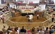 Gracemere Exhibition Complex - thumb 1