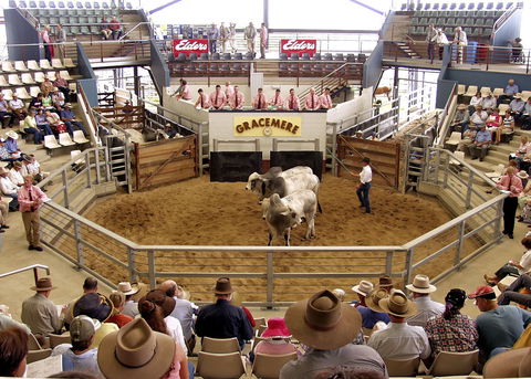 Gracemere Exhibition Complex - Hervey Bay Accommodation 1