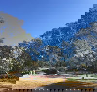 Grenfell Endemic Garden - Tourism Hervey Bay