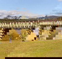 Historic Tabulam DeBurgh Timber Bridge