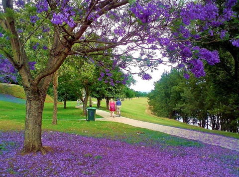 Howe Park - Hervey Bay Accommodation 0