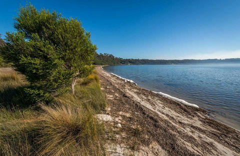 Jewfish Walk - Hervey Bay Accommodation 0