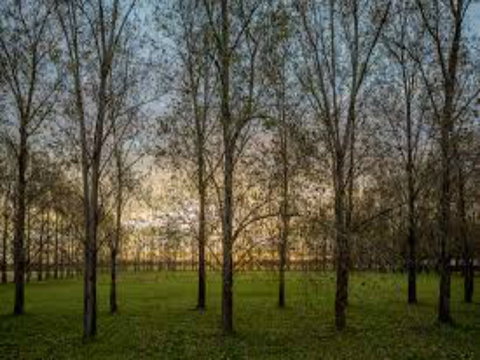 John Tucker Park - Hervey Bay Accommodation 1