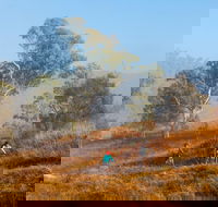 Kambah Pool to Pine Island Walking Trail - Tourism Hervey Bay