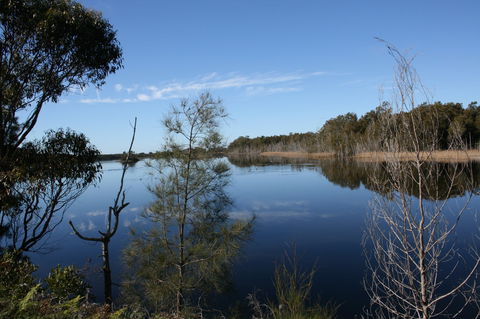 Kayaking Corunna Lake - Tourism Hervey Bay 0