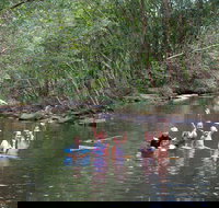 Kerewong State Forest - Hervey Bay Accommodation