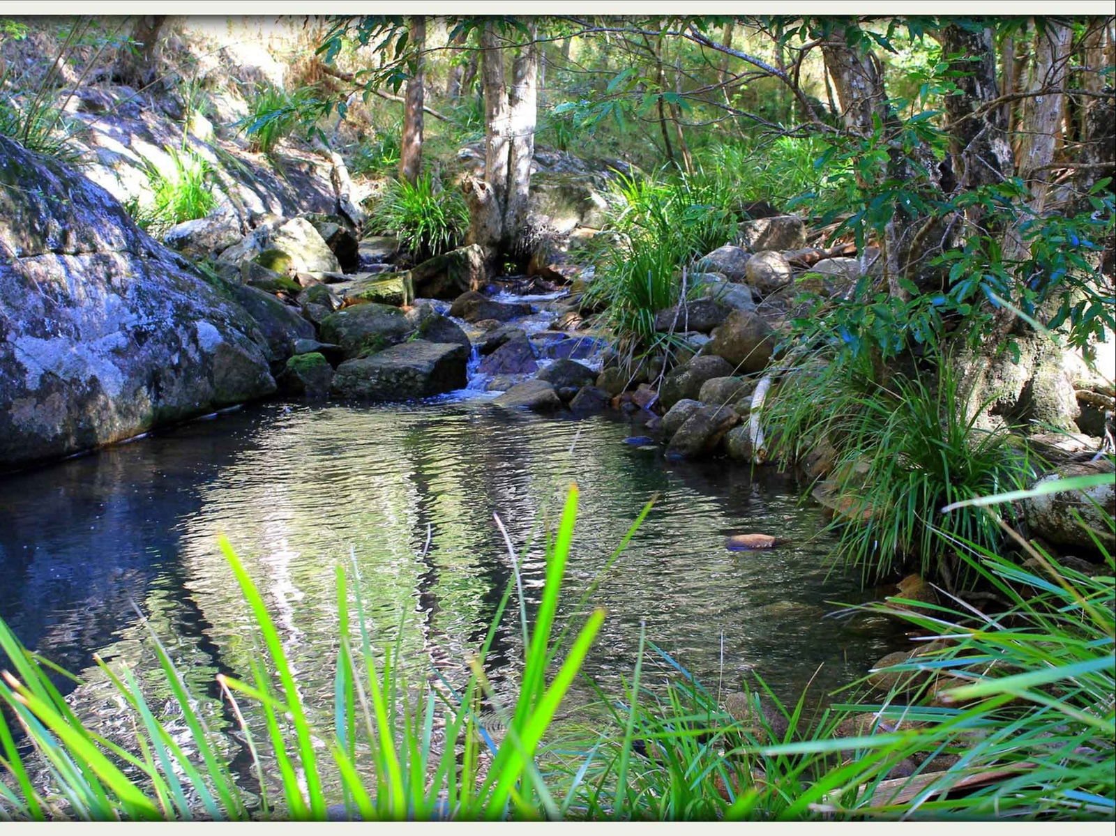 Kin Kin QLD Tourism Hervey Bay