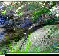 Kin Kin - Tourism Hervey Bay