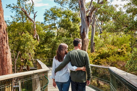 Koala Conservation Reserve - Hervey Bay Accommodation 2