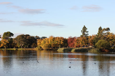 Lake Weeroona - Hervey Bay Accommodation 0