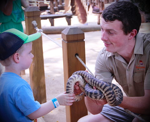 Macadamia Castle - Tourism Hervey Bay 1