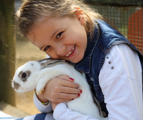 Macadamia Castle - Tourism Hervey Bay 2