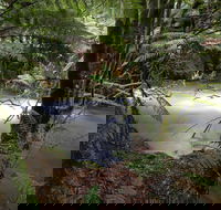 Marriotts Falls and Junee Caves - Hervey Bay Accommodation