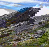 Mount Stillwell walk - Hervey Bay Accommodation