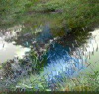 Mullion Range State Conservation Area - Tourism Hervey Bay