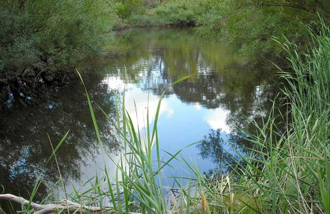 Mullion Range State Conservation Area - Tourism Hervey Bay 0