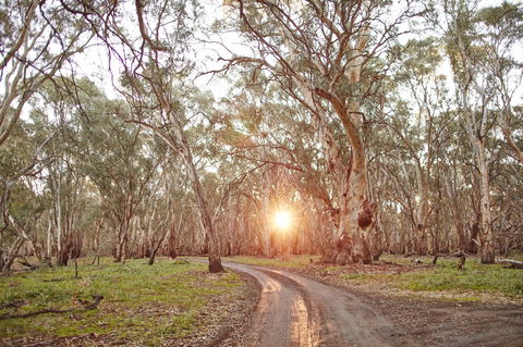 Nyah Vinifera Park - Hervey Bay Accommodation 1