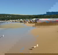 Ocean Beach Umina - Hervey Bay Accommodation