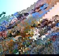 Paintball Albury Wodonga - Hervey Bay Accommodation