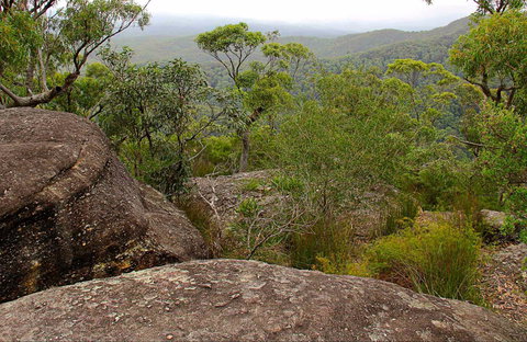 Pigeon House Mountain Didthul Walking Track - Hervey Bay Accommodation 0