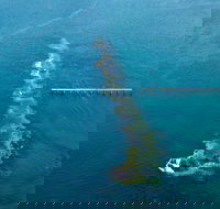 Port Noarlunga Reef Sanctuary Zone - Encounter Marine Park - Hervey Bay Accommodation