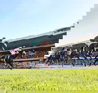 Rosehill Gardens Racecourse - Hervey Bay Accommodation
